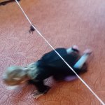phoca_thumb_m_kostmov dopoledne 54 Fotogalerie